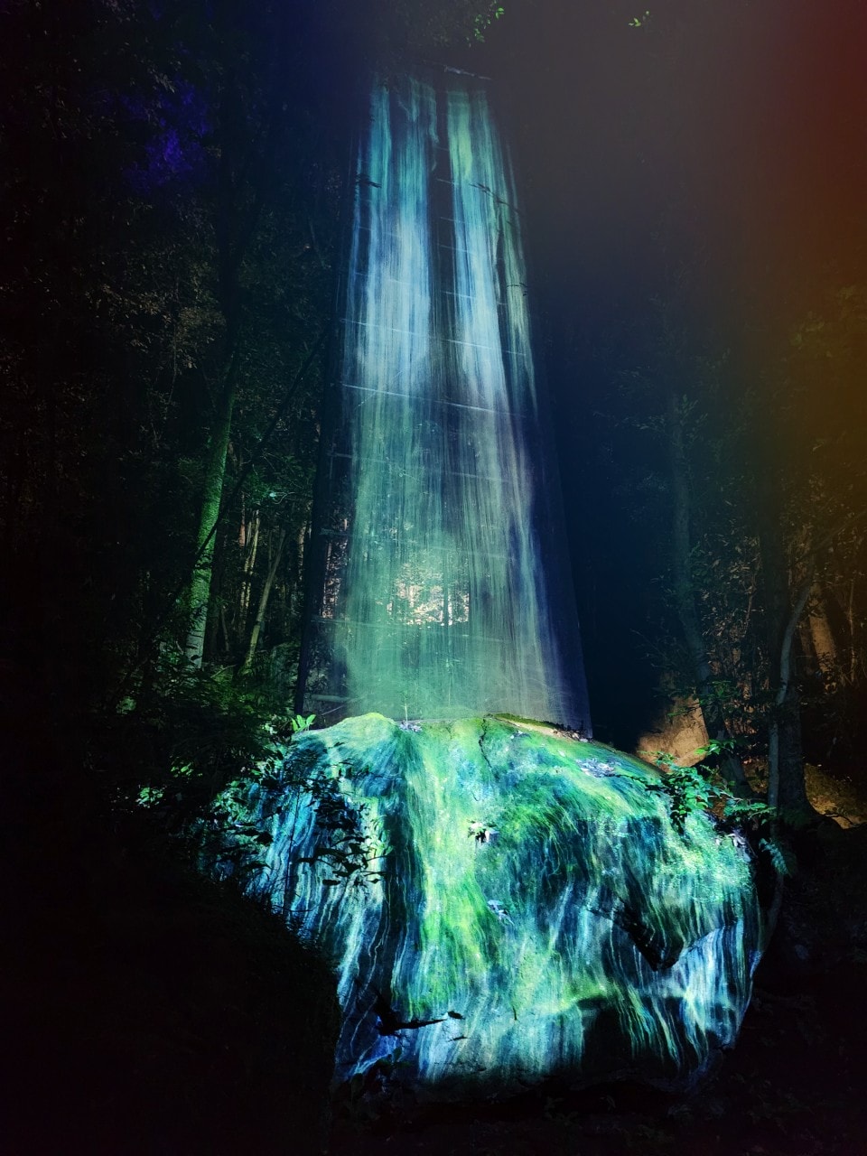 2025 Teamlab 神居住之森 九州武雄溫泉 御船山樂園  森林中夏秋夢幻光影展演