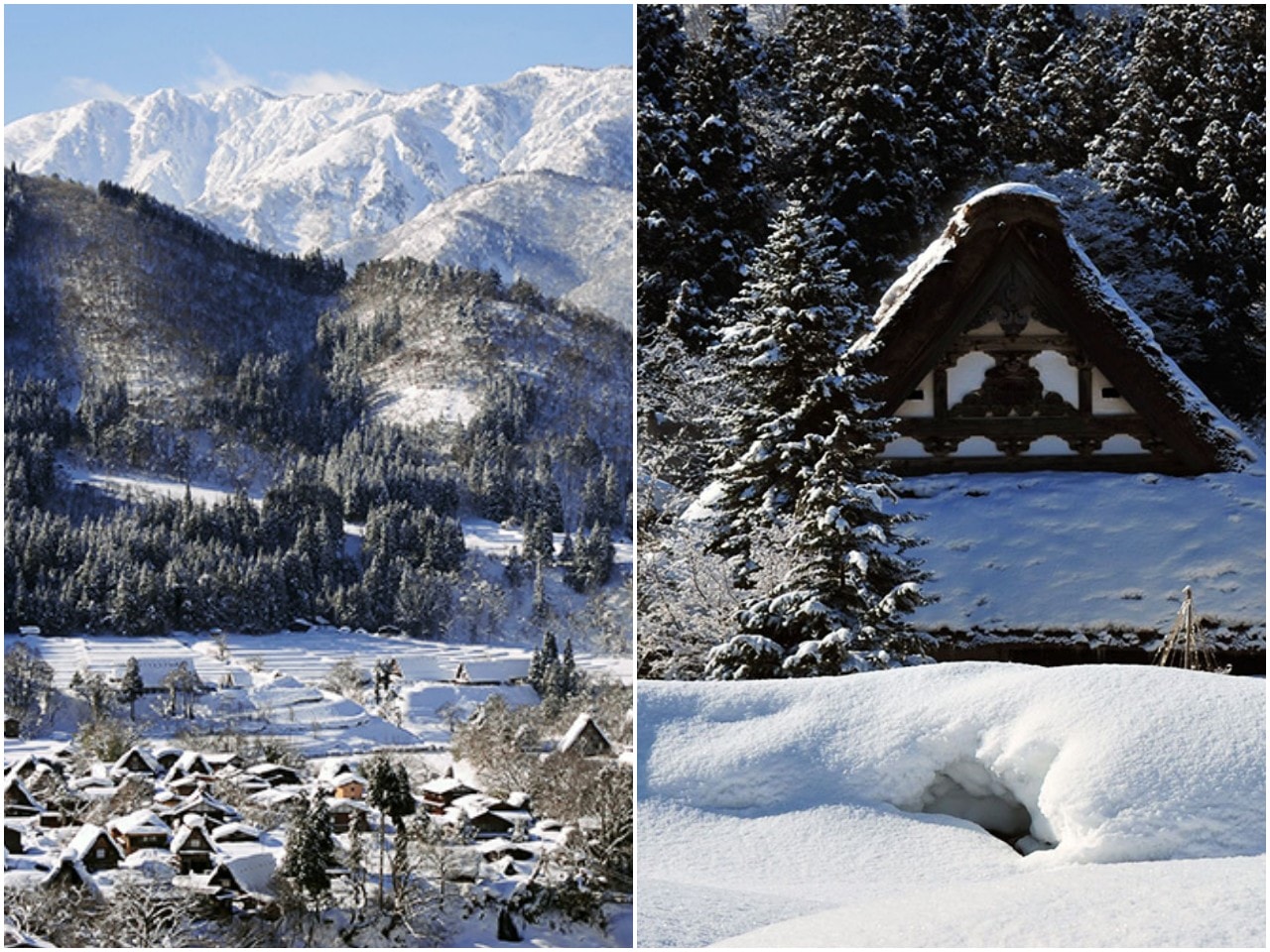 長野白馬 Ski in Ski out 滑雪行程筆記。白馬科爾蒂納滑雪場，可悠閒滑雪，再安排拜訪 雪化妝的金澤兼六園 和 夢幻合掌村雪景