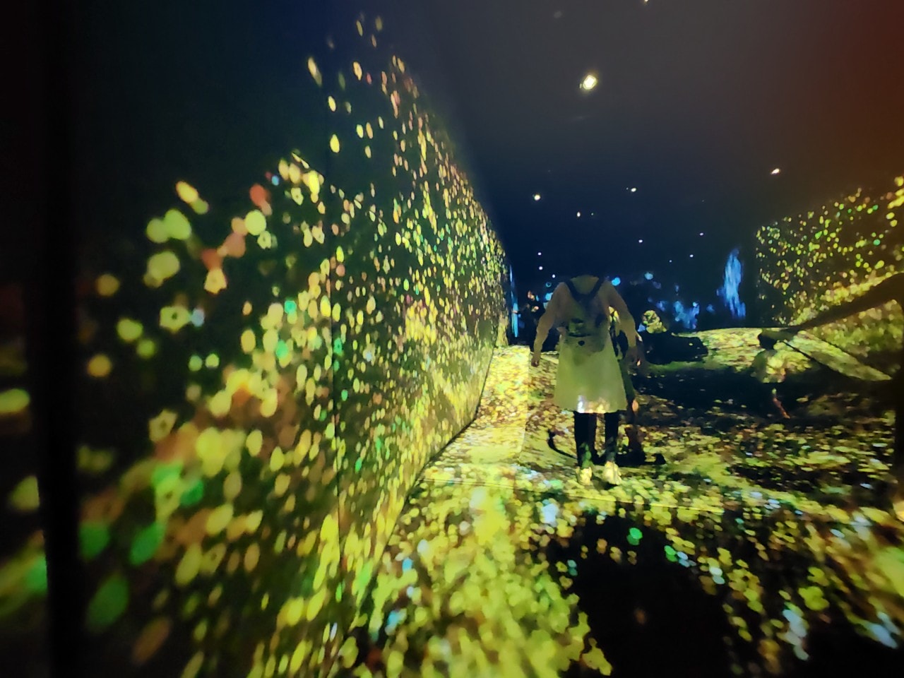 九州福岡 Teamlab Forest Fukuoka。唯美「捕捉和收集森林」和「運動森林」，在獨特地形之中享受互動式沉浸體驗。