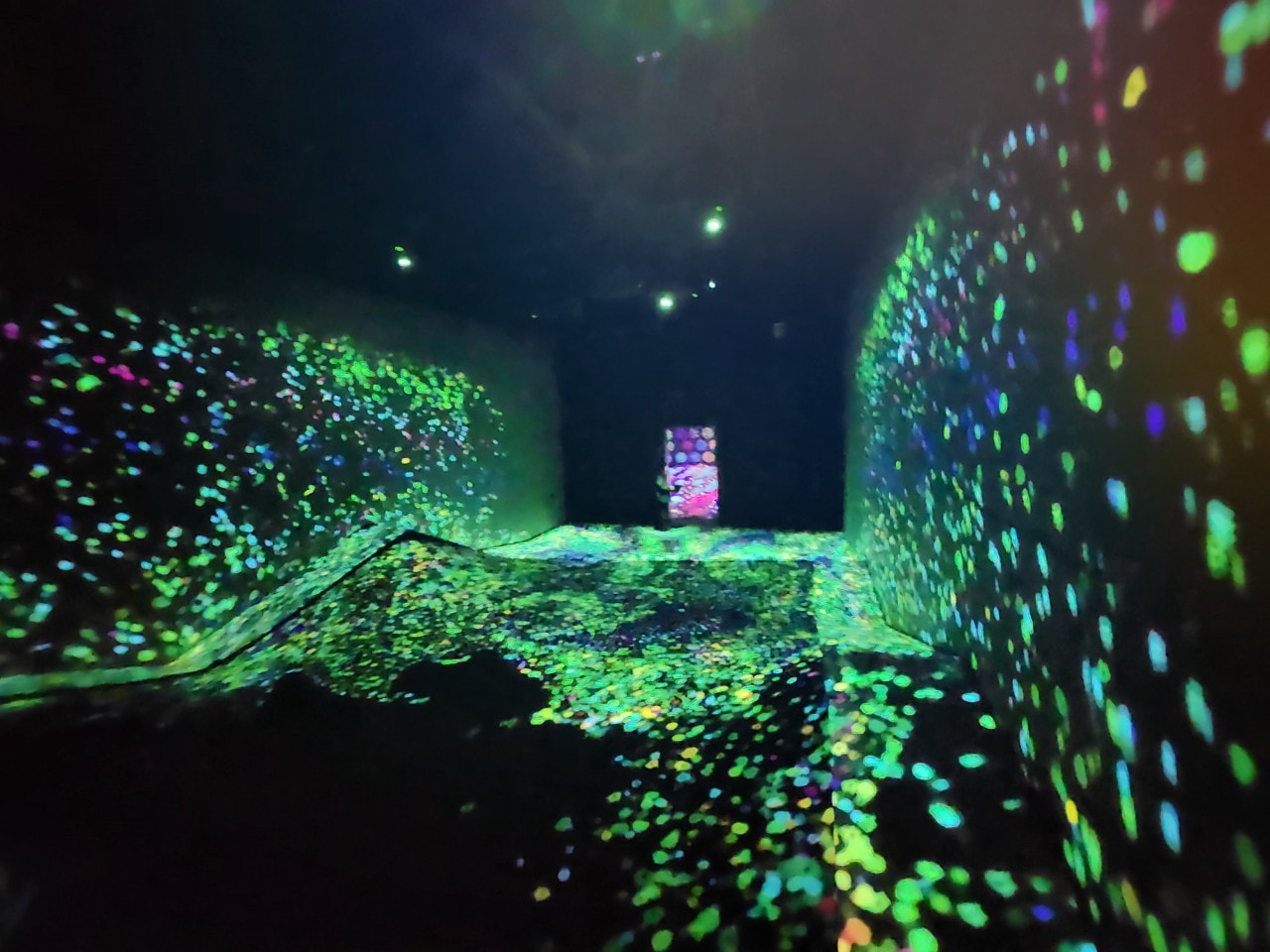 九州福岡 Teamlab Forest Fukuoka。唯美「捕捉和收集森林」和「運動森林」，在獨特地形之中享受互動式沉浸體驗。