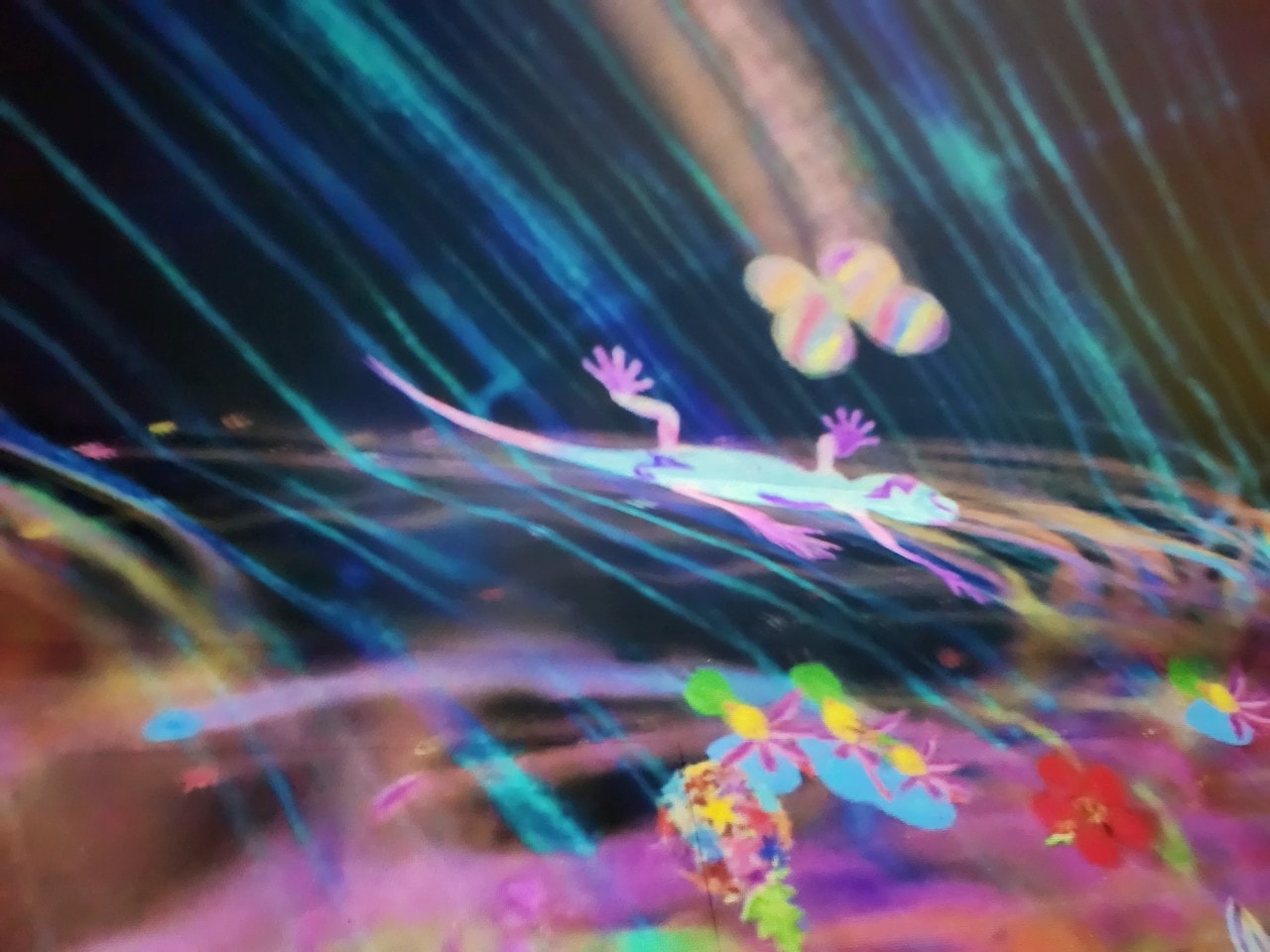 九州福岡 Teamlab Forest Fukuoka。唯美「捕捉和收集森林」和「運動森林」，在獨特地形之中享受互動式沉浸體驗。