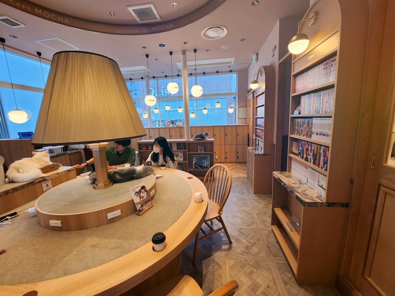 福岡 Cat Cafe MOCHA 天神大名店。舒適溫馨環境、可愛貓咪相伴、飲料無限暢飲。