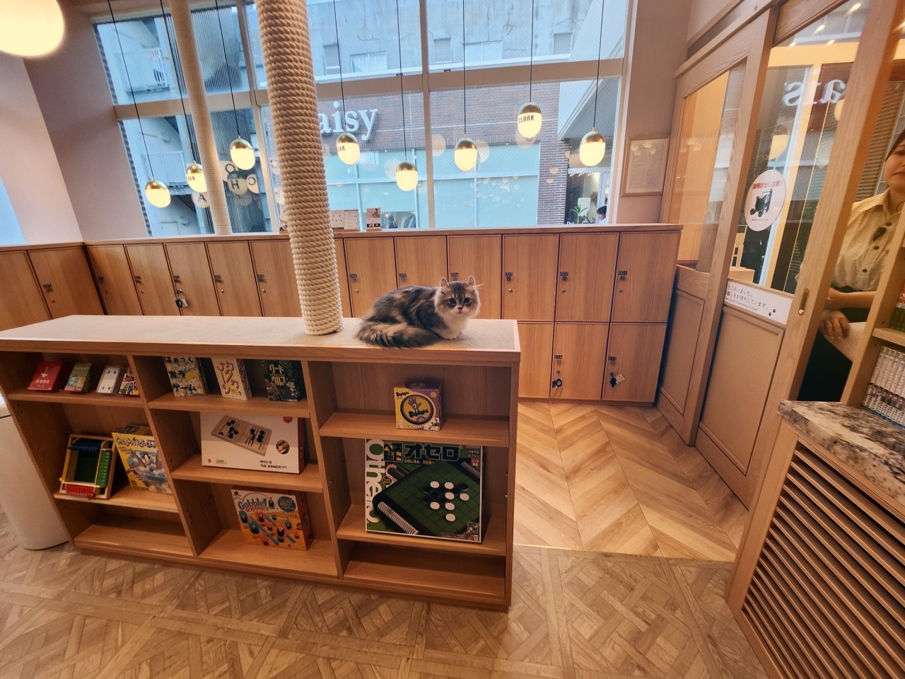 福岡 Cat Cafe MOCHA 天神大名店。舒適溫馨環境、可愛貓咪相伴、飲料無限暢飲。