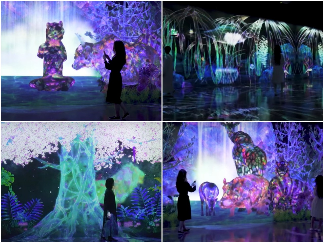 九州福岡 Teamlab Forest Fukuoka。唯美「捕捉和收集森林」和「運動森林」，在獨特地形之中享受互動式沉浸體驗。