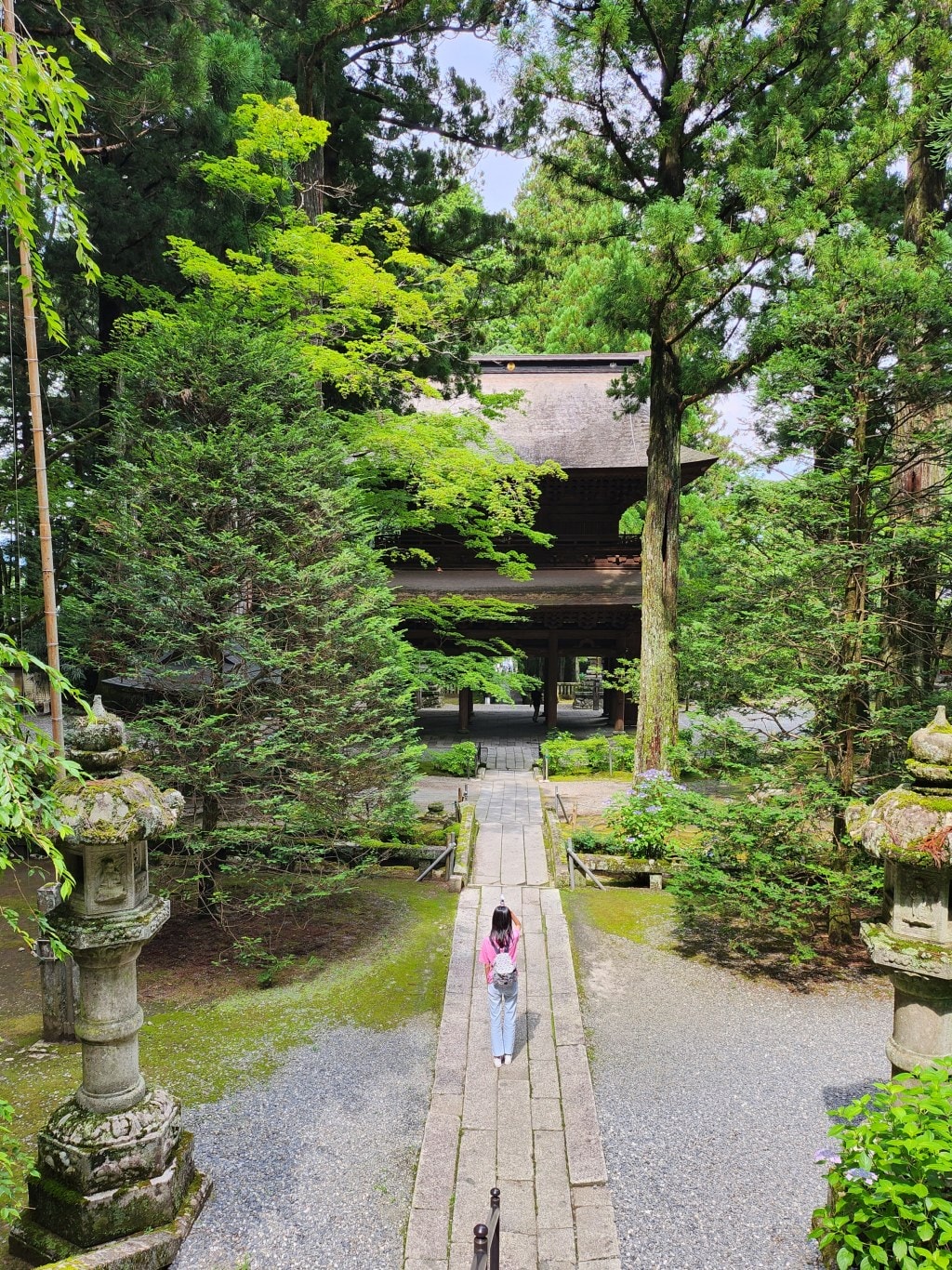 長野縣駒根市 觀光導覽手冊。拜訪冰河時期遺跡千畳敷冰斗，品味座落中央阿爾卑斯與南阿爾卑斯山腳下的小鎮。