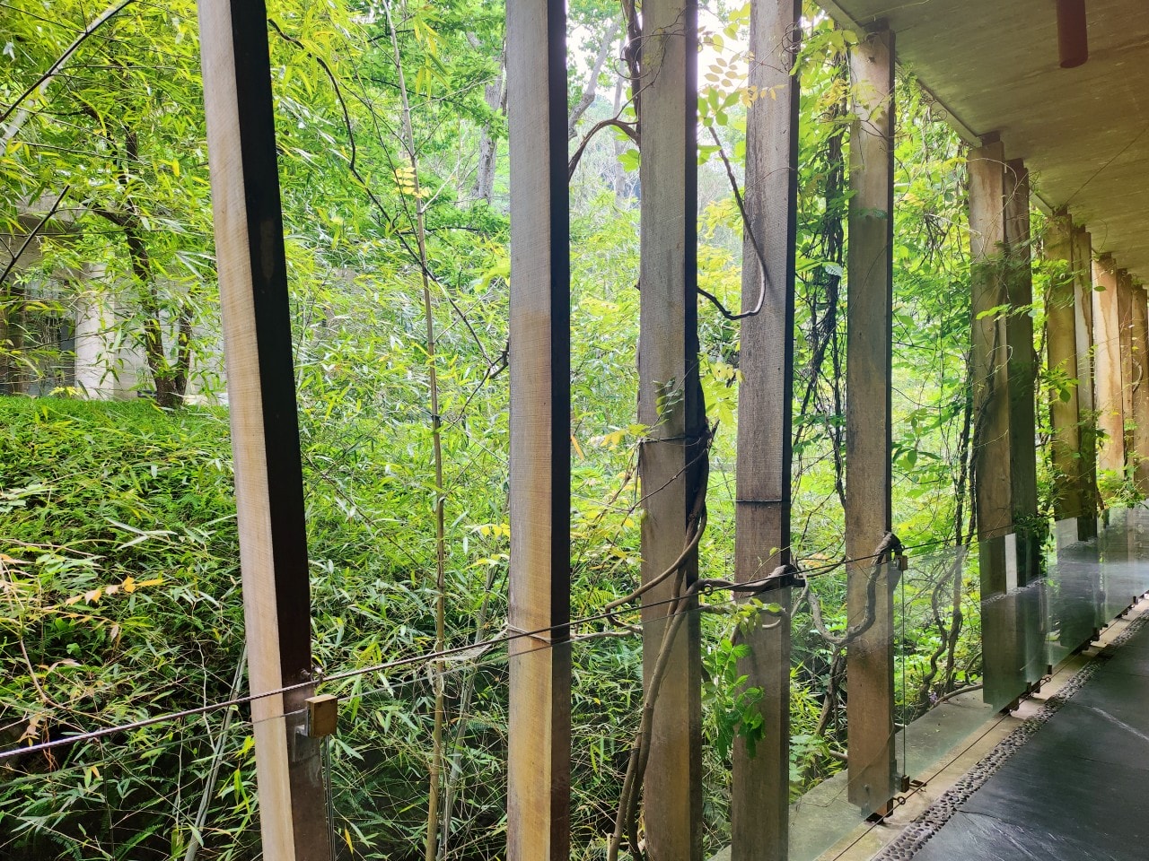 苗栗 泰安觀止溫泉會館。自然綠意圍繞的極簡設計風格建築中，享受高品質的溫泉旅宿