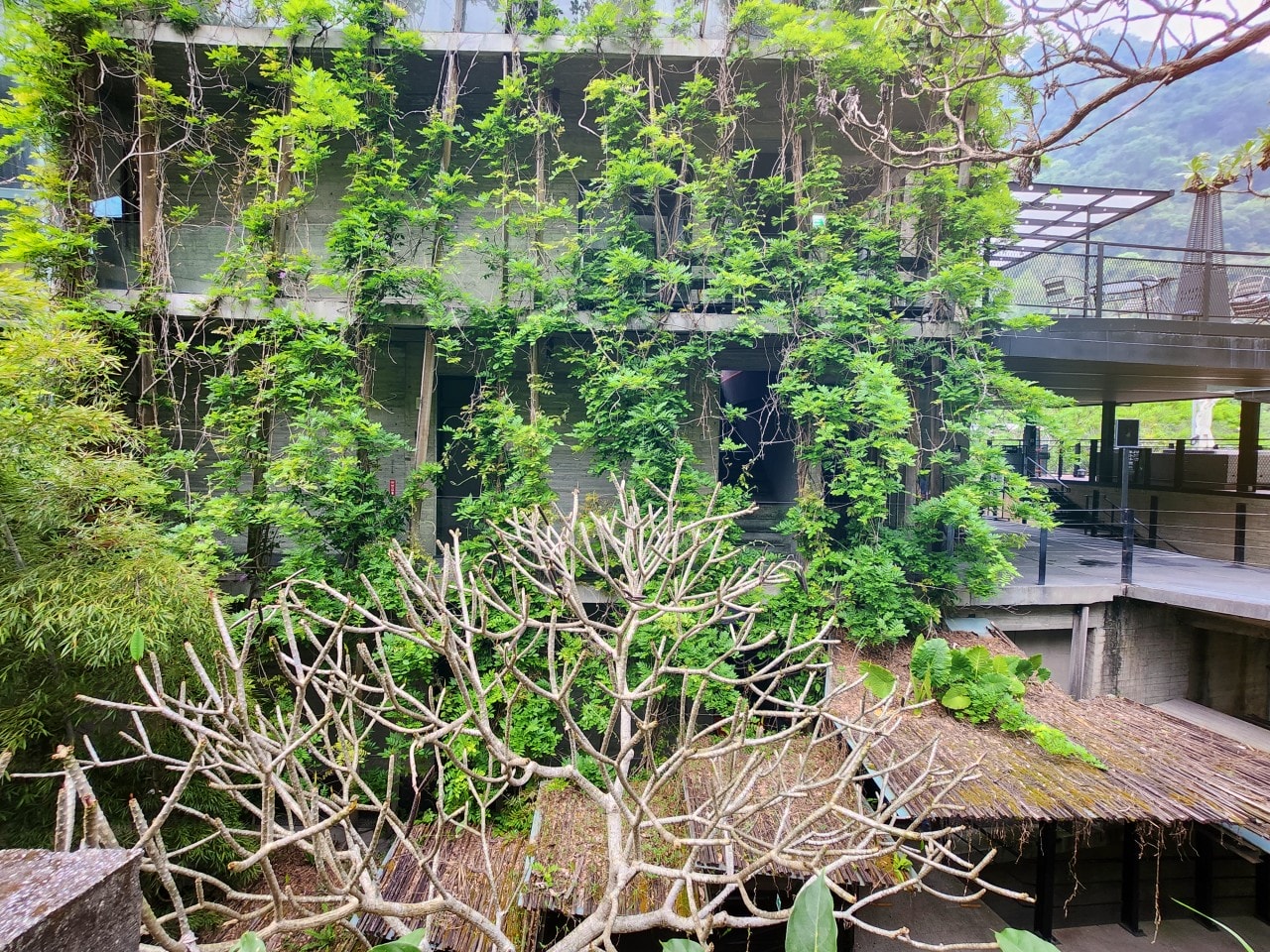 苗栗 泰安觀止溫泉會館。自然綠意圍繞的極簡設計風格建築中，享受高品質的溫泉旅宿