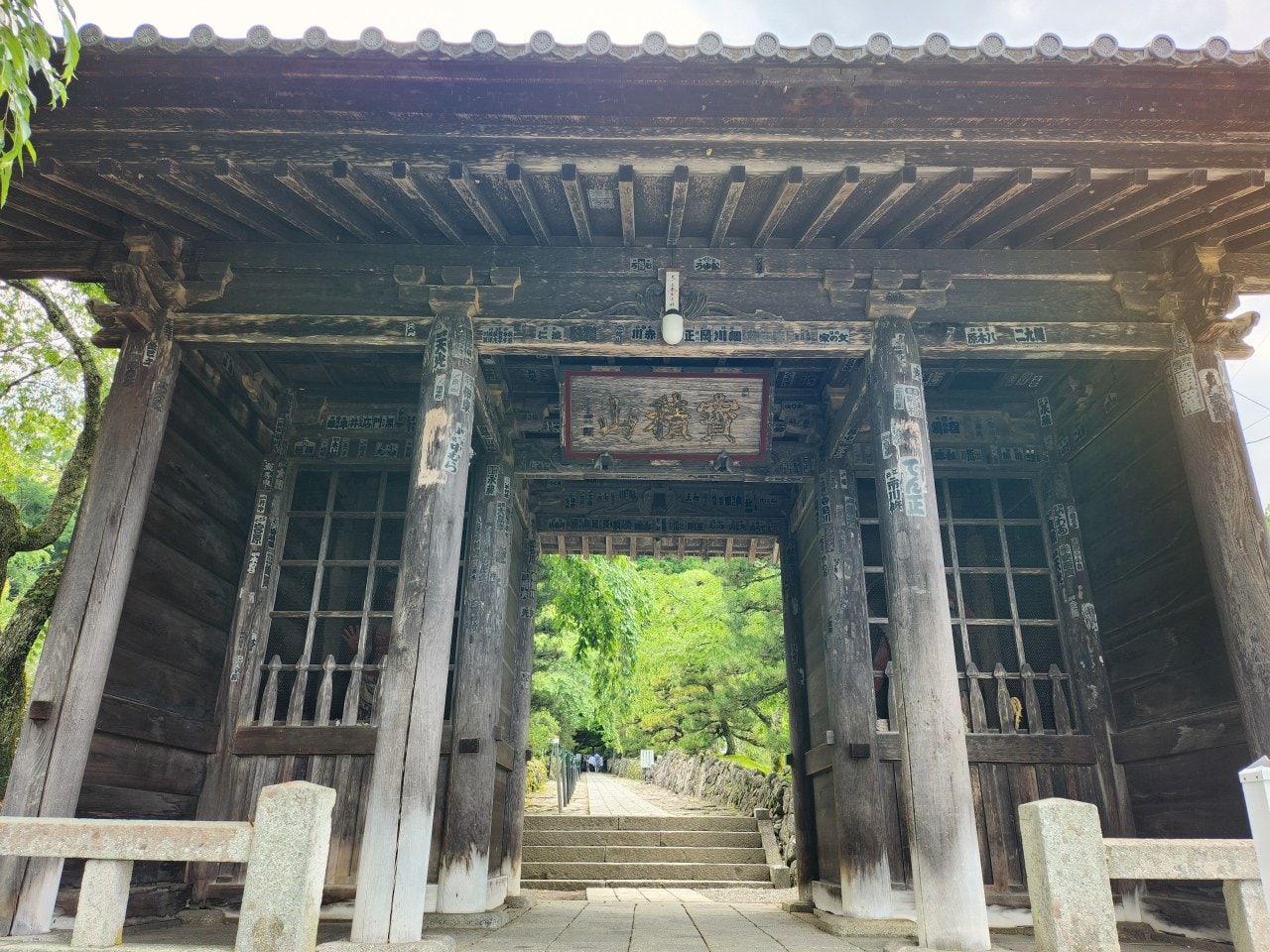 長野縣駒根市 名勝庭園光前寺。莊嚴的寺廟、苔之古道、巨大的杉木林、還有夏季的繡球花 - 第3張圖 長野縣駒根市 名勝庭園光前寺。莊嚴的寺廟、苔之古道、巨大的杉木林、還有夏季的繡球花