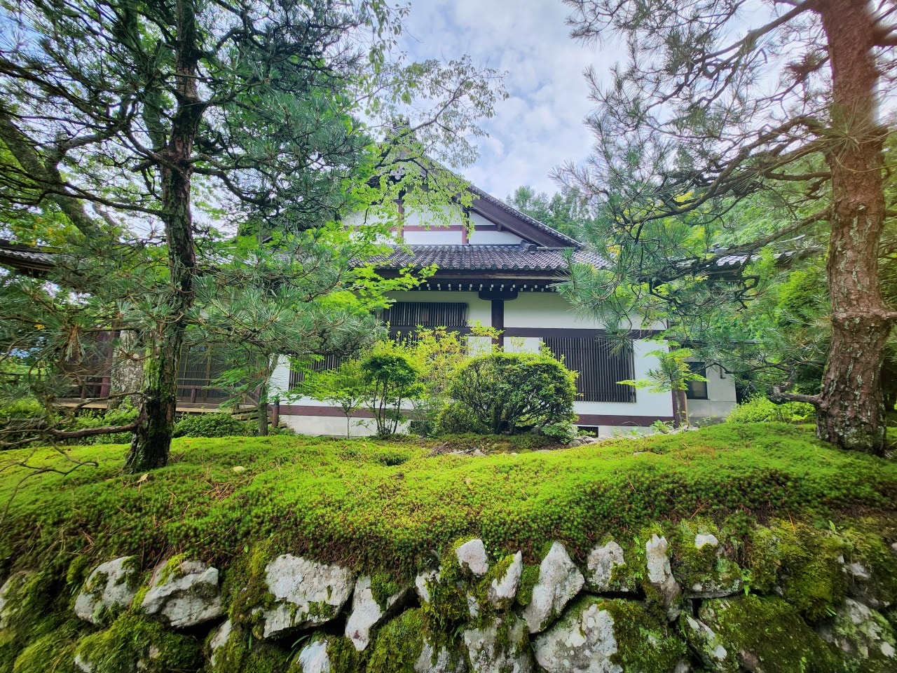 長野縣駒根市 名勝庭園光前寺。莊嚴的寺廟、苔之古道、巨大的杉木林、還有夏季的繡球花 - 第4張圖 長野縣駒根市 名勝庭園光前寺。莊嚴的寺廟、苔之古道、巨大的杉木林、還有夏季的繡球花