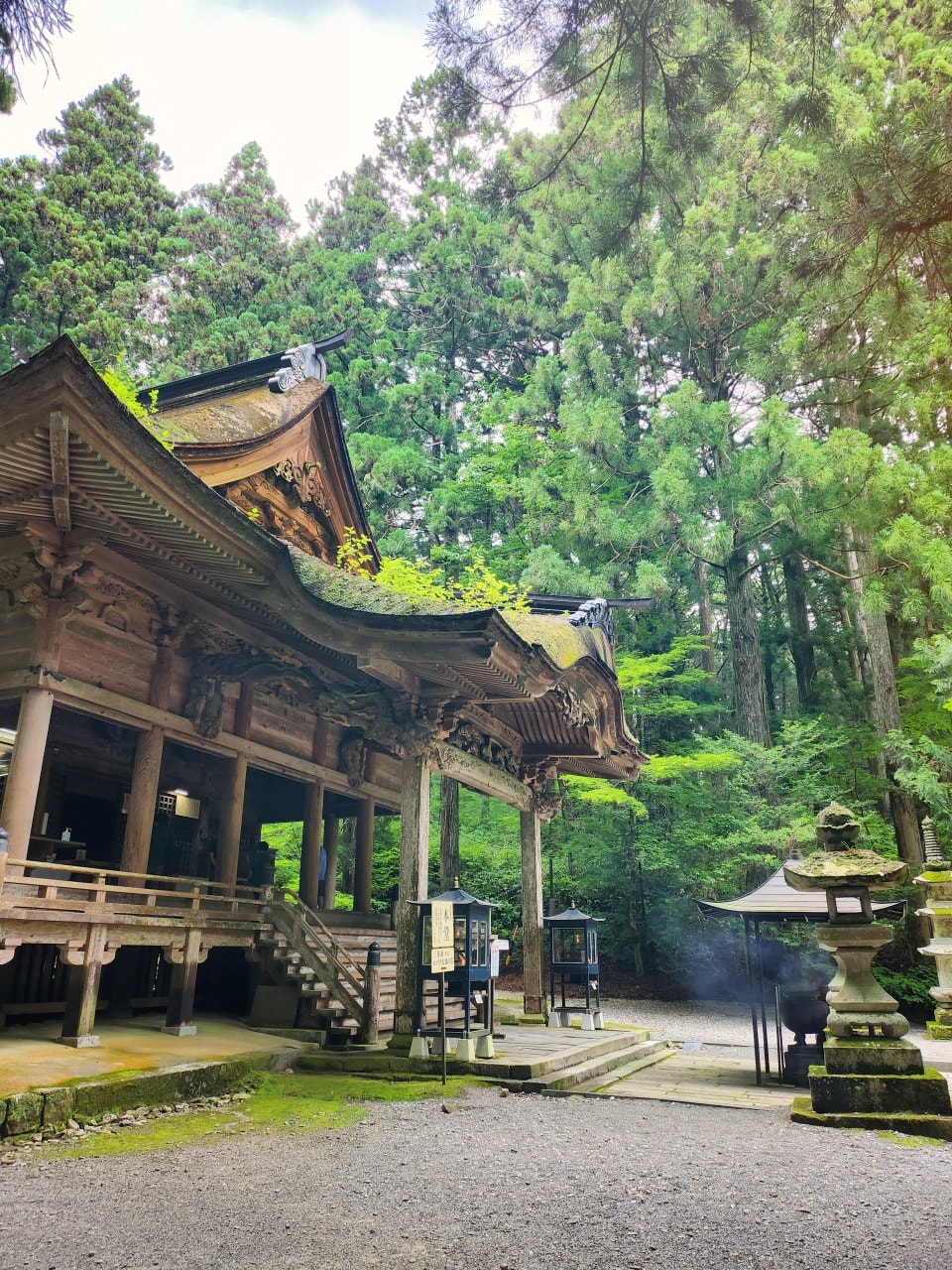 長野縣駒根市 名勝庭園光前寺。莊嚴的寺廟、苔之古道、巨大的杉木林、還有夏季的繡球花 - 第15張圖 長野縣駒根市 名勝庭園光前寺。莊嚴的寺廟、苔之古道、巨大的杉木林、還有夏季的繡球花