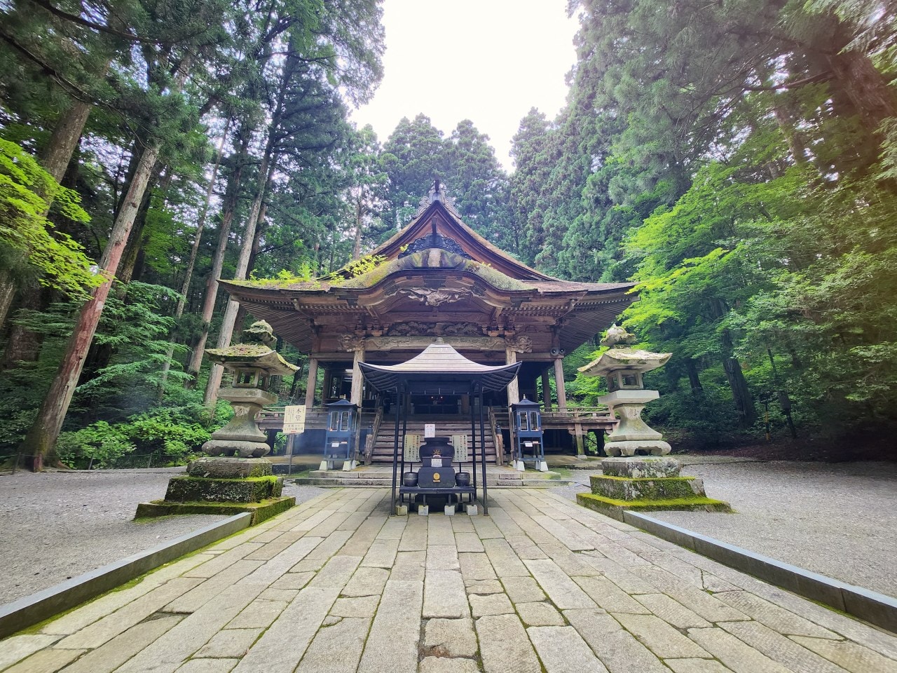 長野縣駒根市 名勝庭園光前寺。莊嚴的寺廟、苔之古道、巨大的杉木林、還有夏季的繡球花 - 第16張圖 長野縣駒根市 名勝庭園光前寺。莊嚴的寺廟、苔之古道、巨大的杉木林、還有夏季的繡球花