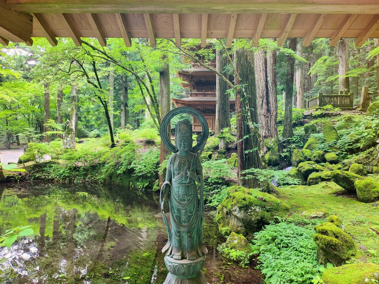 長野縣駒根市 名勝庭園光前寺。莊嚴的寺廟、苔之古道、巨大的杉木林、還有夏季的繡球花 - 第18張圖 長野縣駒根市 名勝庭園光前寺。莊嚴的寺廟、苔之古道、巨大的杉木林、還有夏季的繡球花