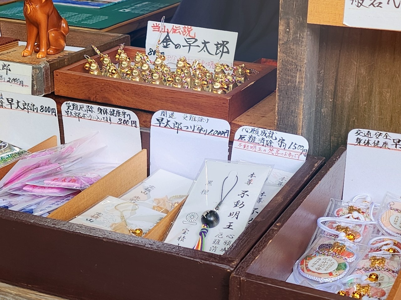 長野縣駒根市 名勝庭園光前寺。莊嚴的寺廟、苔之古道、巨大的杉木林、還有夏季的繡球花 - 第22張圖 長野縣駒根市 名勝庭園光前寺。莊嚴的寺廟、苔之古道、巨大的杉木林、還有夏季的繡球花