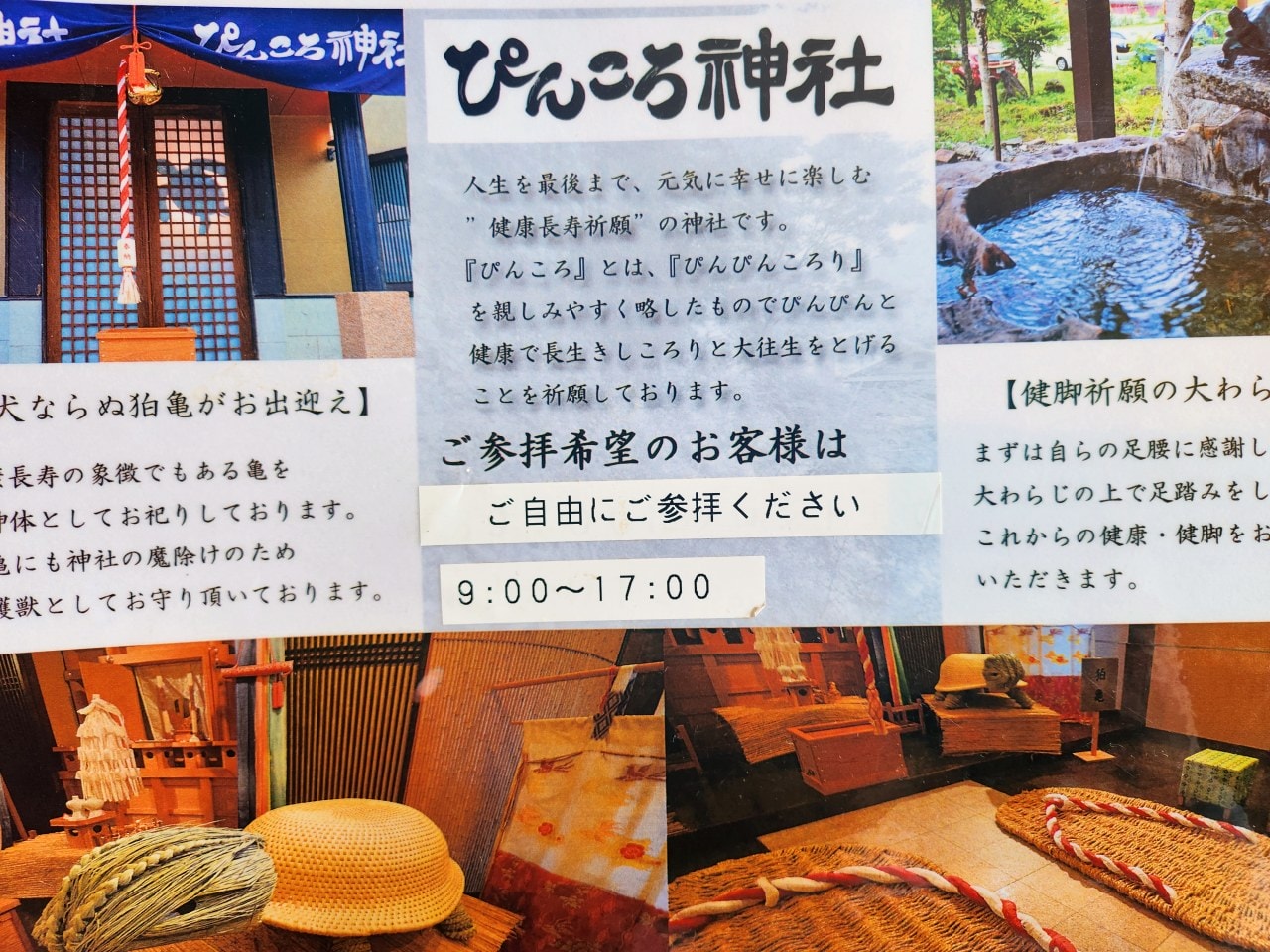 駒根溫泉旅館 山野草之宿 二人靜。早太郎溫泉鄉，像是岩石間靜靜綻放的野花一樣溫柔的旅館