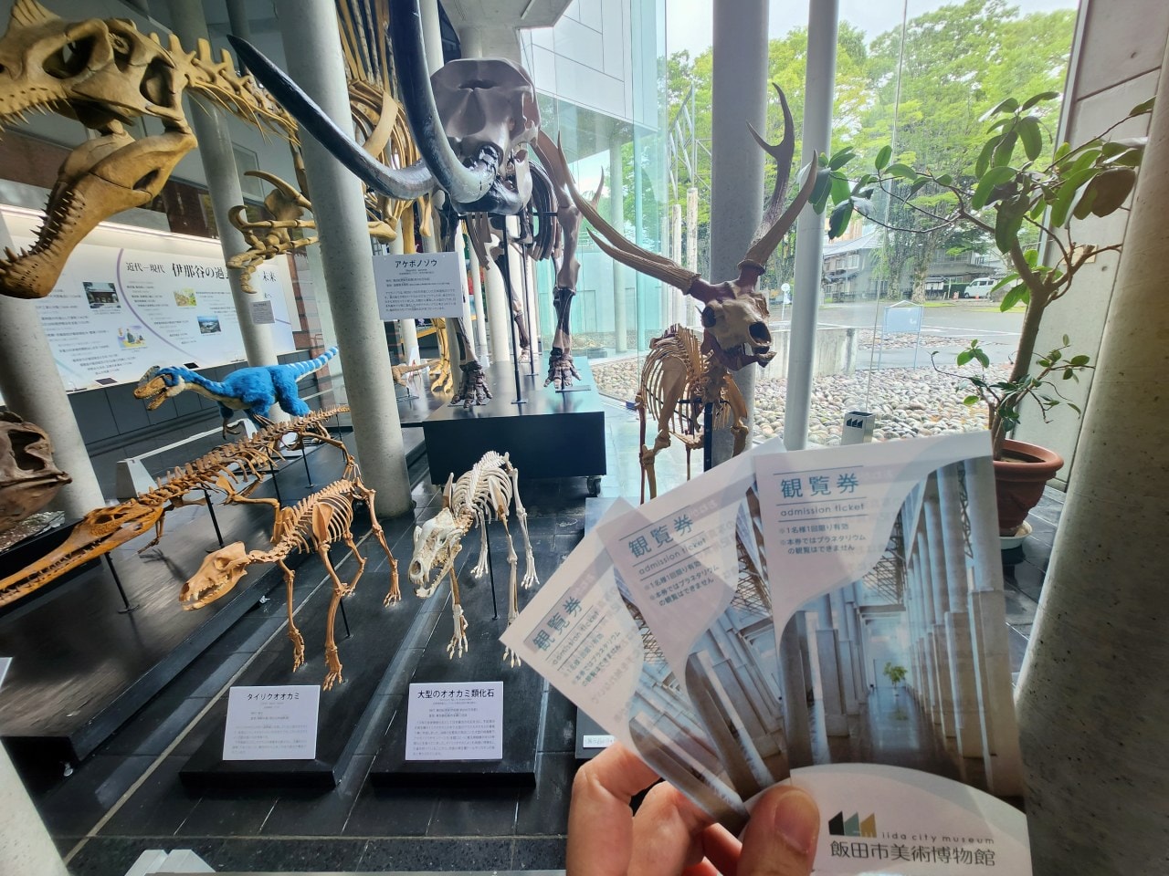 長野縣 飯田市美術博物館。建築在飯田城遺址上的現代美術館，內有巨型恐龍化石展覽
