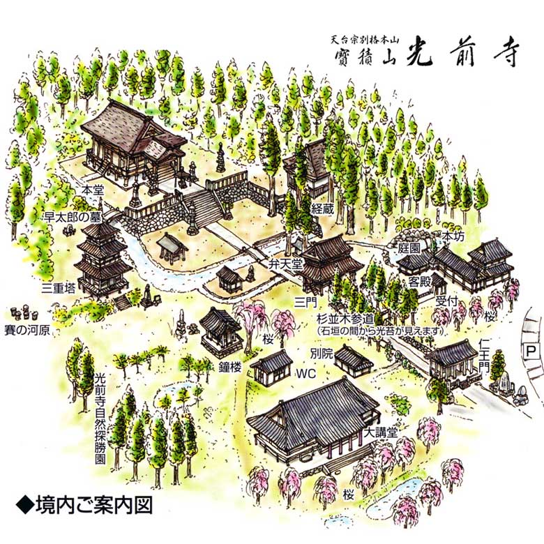 長野縣駒根市 名勝庭園光前寺。莊嚴的寺廟、苔之古道、巨大的杉木林、還有夏季的繡球花 - 第23張圖 長野縣駒根市 名勝庭園光前寺。莊嚴的寺廟、苔之古道、巨大的杉木林、還有夏季的繡球花