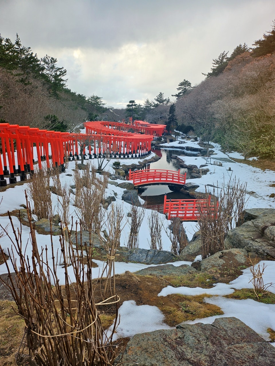 2025 冬季 青森、北海道賞雪與滑雪之旅 行程筆記 - 第7張圖 2025 冬季 青森、北海道賞雪與滑雪之旅 行程筆記