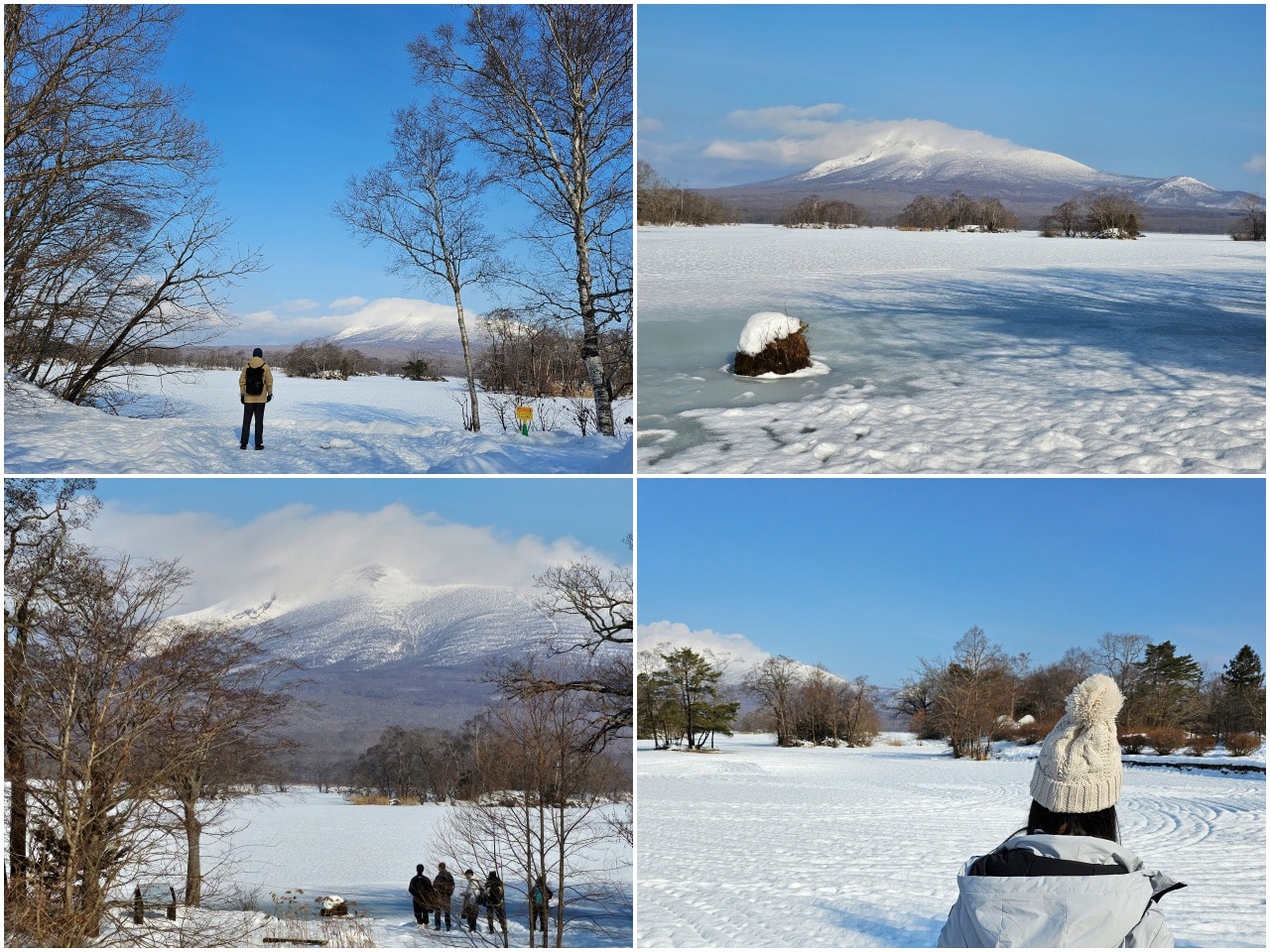 2025 冬季 青森、北海道賞雪與滑雪之旅 行程筆記 - 第8張圖 2025 冬季 青森、北海道賞雪與滑雪之旅 行程筆記