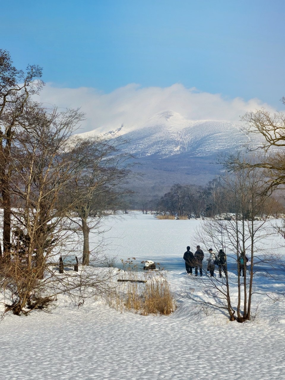 北海道函館 大沼國定公園。大沼和駒岳被譽為日本新三景,欣賞壯麗的美景之外,冬天還有各種好玩的雪上活動。 - 第4張圖 北海道函館 大沼國定公園。大沼和駒岳被譽為日本新三景,欣賞壯麗的美景之外,冬天還有各種好玩的雪上活動。