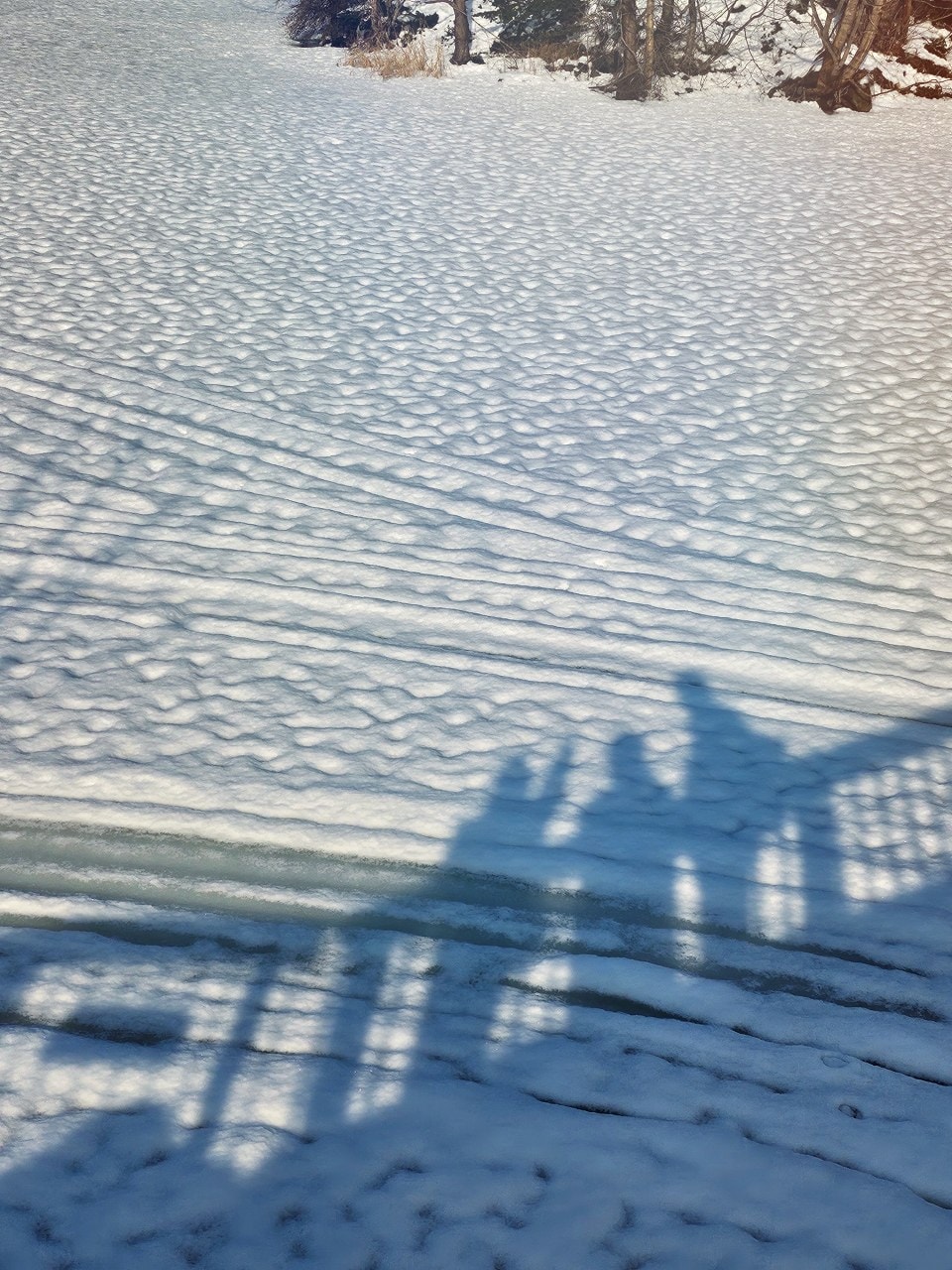 北海道函館 大沼國定公園。大沼和駒岳被譽為日本新三景,欣賞壯麗的美景之外,冬天還有各種好玩的雪上活動。 - 第5張圖 北海道函館 大沼國定公園。大沼和駒岳被譽為日本新三景,欣賞壯麗的美景之外,冬天還有各種好玩的雪上活動。