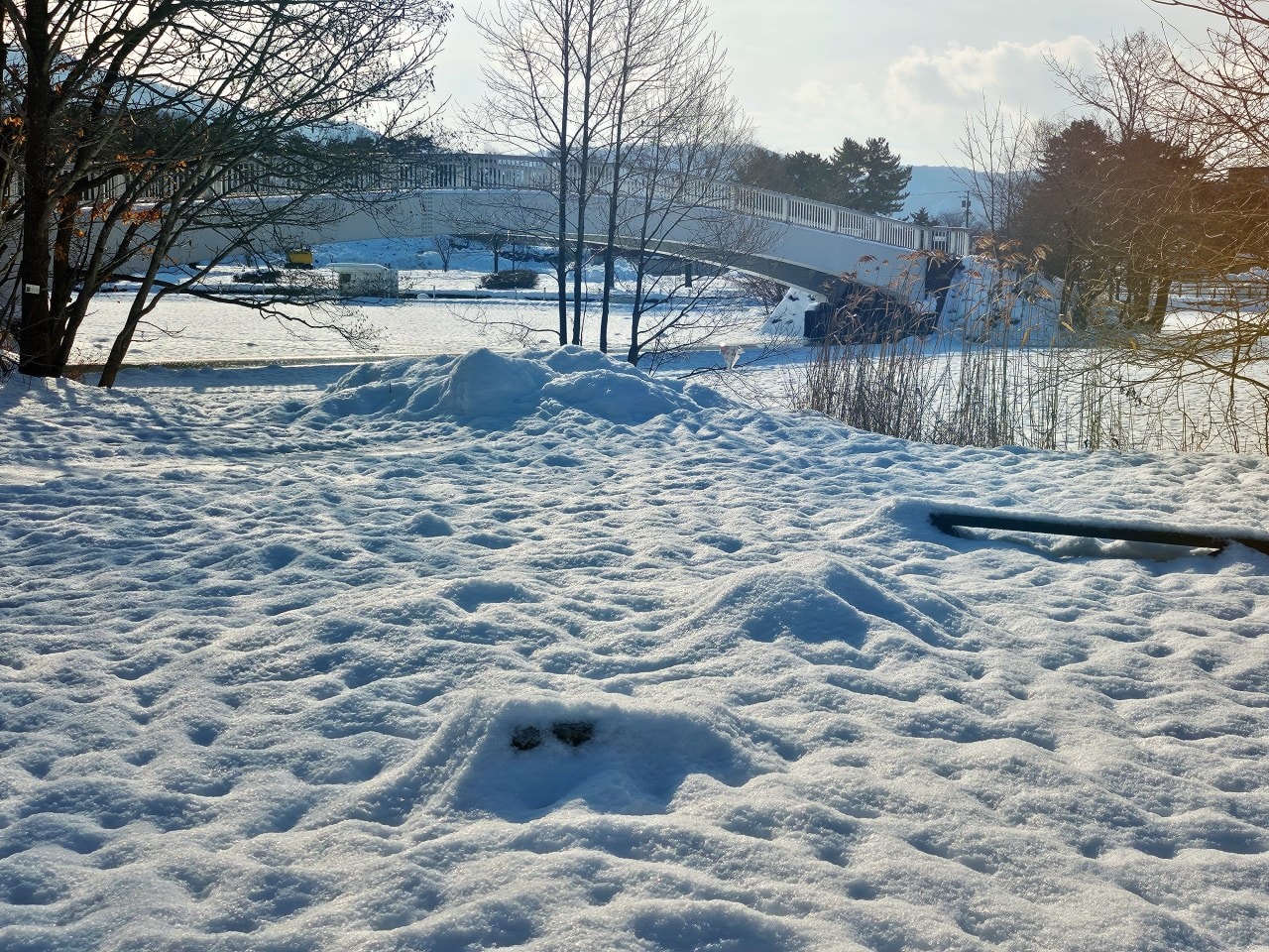 北海道函館 大沼國定公園。大沼和駒岳被譽為日本新三景,欣賞壯麗的美景之外,冬天還有各種好玩的雪上活動。 - 第9張圖 北海道函館 大沼國定公園。大沼和駒岳被譽為日本新三景,欣賞壯麗的美景之外,冬天還有各種好玩的雪上活動。