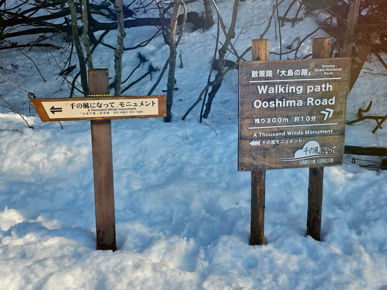 北海道函館 大沼國定公園。大沼和駒岳被譽為日本新三景,欣賞壯麗的美景之外,冬天還有各種好玩的雪上活動。 - 第10張圖 北海道函館 大沼國定公園。大沼和駒岳被譽為日本新三景,欣賞壯麗的美景之外,冬天還有各種好玩的雪上活動。
