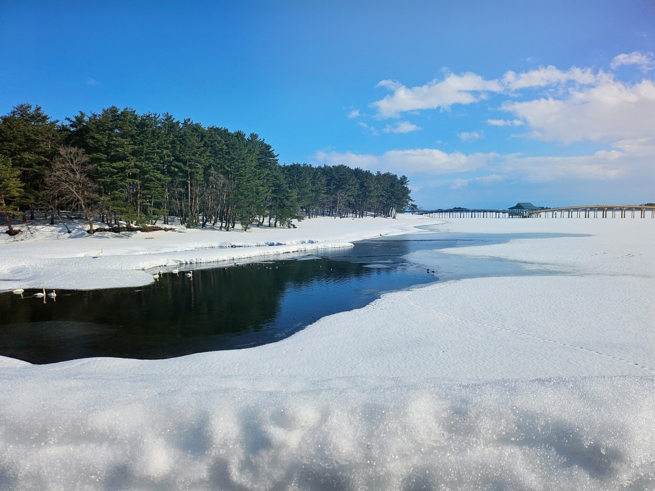 雪中的青森縣 鶴之舞橋。在津輕富士見湖的湖水和雄偉壯麗岩木山襯托之下,優美的橋身猶如飛舞於空中的鶴一般 - 第2張圖 雪中的青森縣 鶴之舞橋。在津輕富士見湖的湖水和雄偉壯麗岩木山襯托之下,優美的橋身猶如飛舞於空中的鶴一般