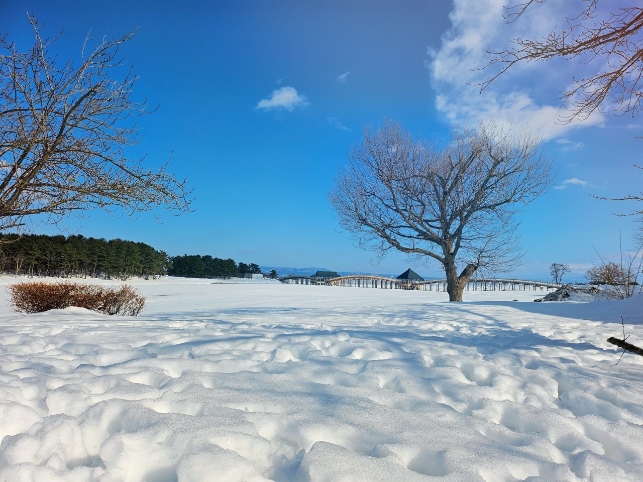 雪中的青森縣 鶴之舞橋。在津輕富士見湖的湖水和雄偉壯麗岩木山襯托之下,優美的橋身猶如飛舞於空中的鶴一般 - 第12張圖 雪中的青森縣 鶴之舞橋。在津輕富士見湖的湖水和雄偉壯麗岩木山襯托之下,優美的橋身猶如飛舞於空中的鶴一般
