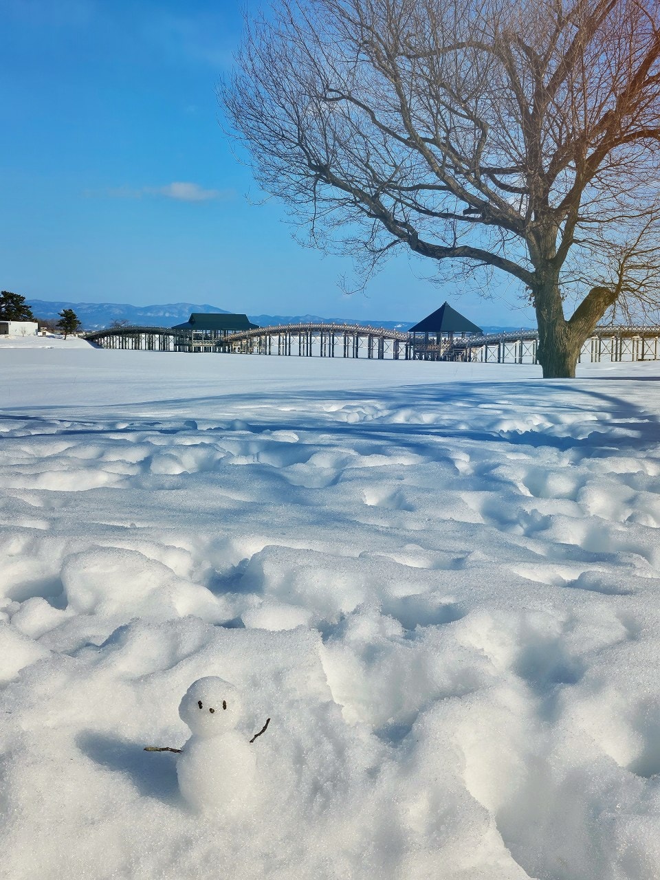 雪中的青森縣 鶴之舞橋。在津輕富士見湖的湖水和雄偉壯麗岩木山襯托之下,優美的橋身猶如飛舞於空中的鶴一般 - 第1張圖 雪中的青森縣 鶴之舞橋。在津輕富士見湖的湖水和雄偉壯麗岩木山襯托之下,優美的橋身猶如飛舞於空中的鶴一般