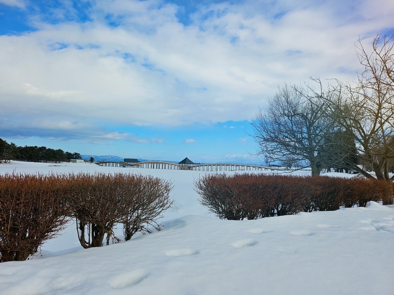雪中的青森縣 鶴之舞橋。在津輕富士見湖的湖水和雄偉壯麗岩木山襯托之下,優美的橋身猶如飛舞於空中的鶴一般 - 第5張圖 雪中的青森縣 鶴之舞橋。在津輕富士見湖的湖水和雄偉壯麗岩木山襯托之下,優美的橋身猶如飛舞於空中的鶴一般