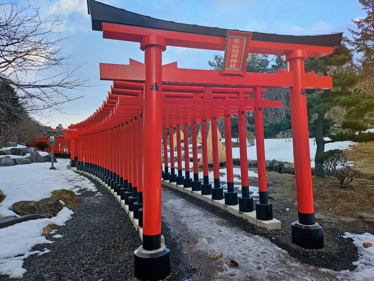 青森縣高山稻荷神社。充滿獨特氛圍的秘境神社，夢幻日式庭園中的千本鳥居雪景。