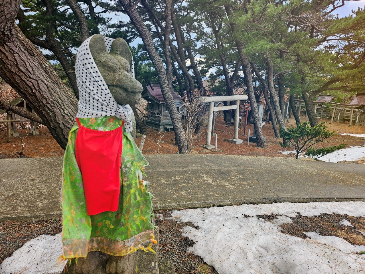 青森縣高山稻荷神社。充滿獨特氛圍的秘境神社，夢幻日式庭園中的千本鳥居雪景。