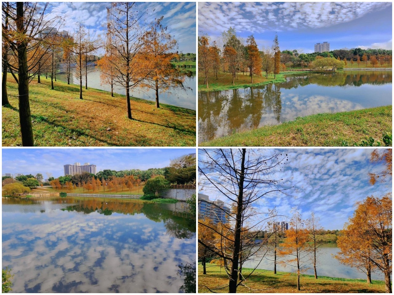 桃園青埔景點。探索城市中的綠意與藝術氛圍，這些景點美到讓你捨不得離開。