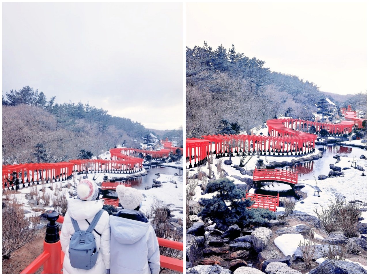 青森縣高山稻荷神社。充滿獨特氛圍的秘境神社，夢幻日式庭園中的千本鳥居雪景。
