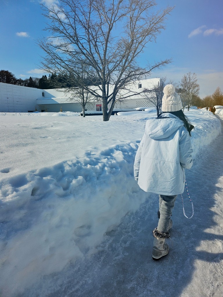 青森縣立美術館。在冬季拜訪雪中的白色青森犬和森之子雕塑