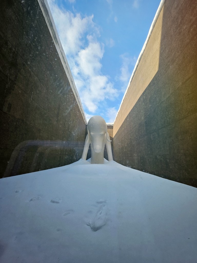 青森縣立美術館。在冬季拜訪雪中的白色青森犬和森之子雕塑