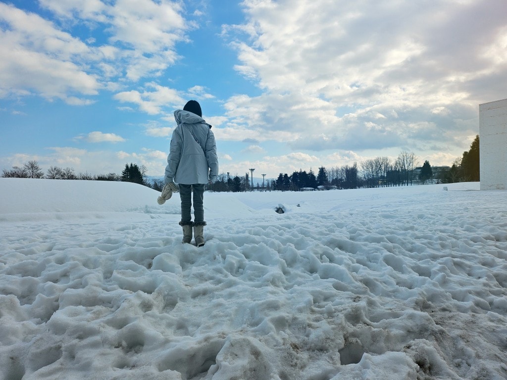 青森縣立美術館。在冬季拜訪雪中的白色青森犬和森之子雕塑