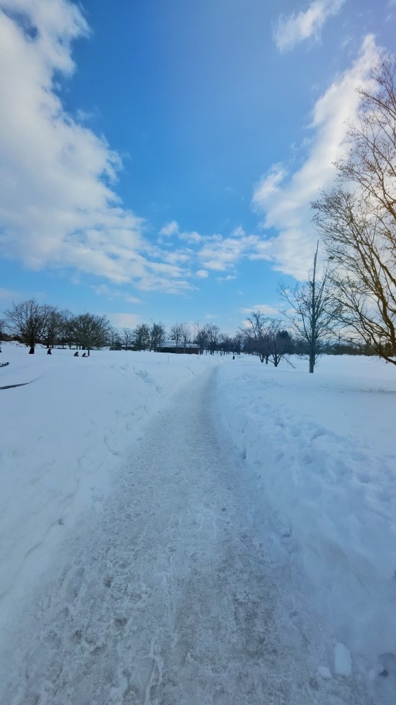 青森縣立美術館。在冬季拜訪雪中的白色青森犬和森之子雕塑