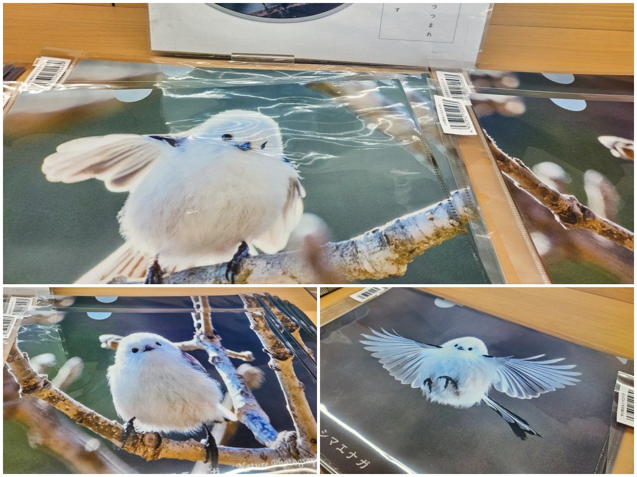 北海道新幹線 JR新函館北斗站 以及車站南口的北斗市觀光交流中心別館「Hokkuru」 - 第17張圖 北海道新幹線 JR新函館北斗站 以及車站南口的北斗市觀光交流中心別館「Hokkuru」
