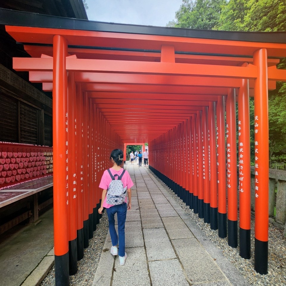 名古屋犬山 有樂苑庭園。拜訪國寶茶室如庵，漫步優美庭院、欣賞水琴窟清澈鈴聲