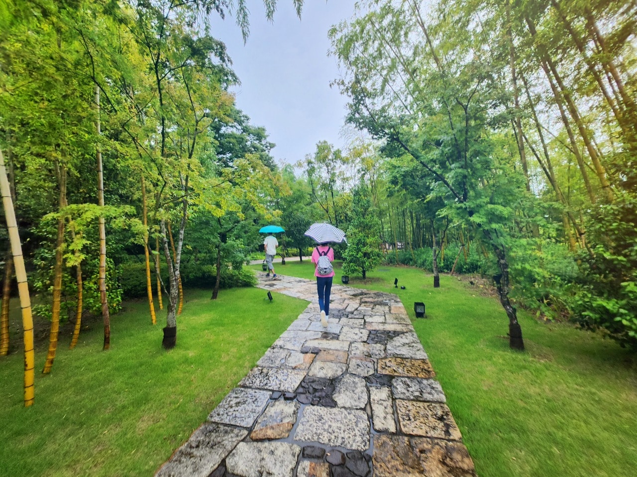 名古屋犬山 有樂苑庭園。拜訪國寶茶室如庵，漫步優美庭院、欣賞水琴窟清澈鈴聲