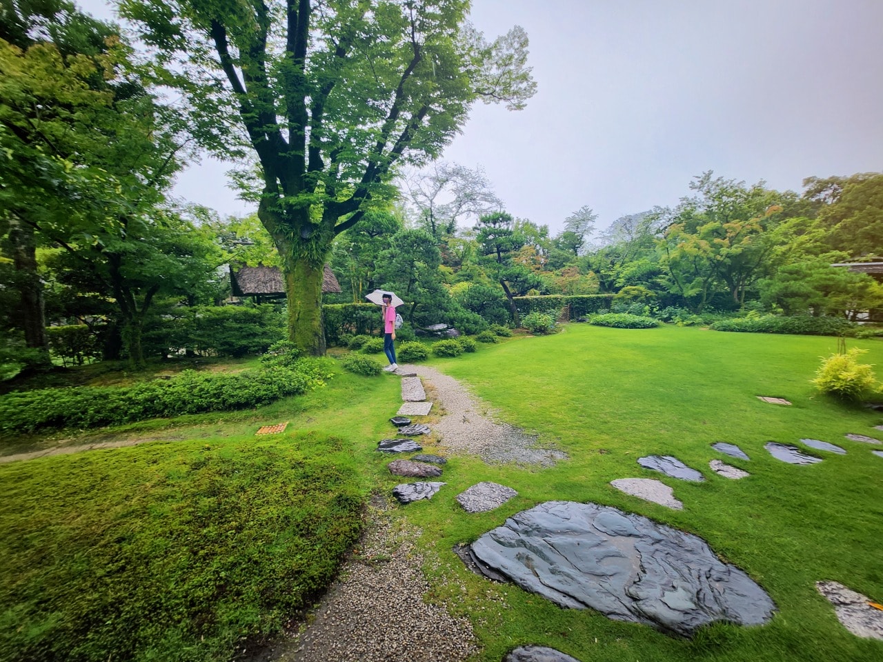 名古屋犬山 有樂苑庭園。拜訪國寶茶室如庵，漫步優美庭院、欣賞水琴窟清澈鈴聲