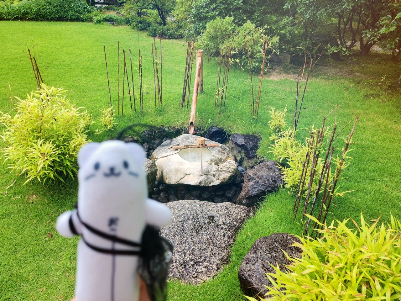 名古屋犬山 有樂苑庭園。拜訪國寶茶室如庵，漫步優美庭院、欣賞水琴窟清澈鈴聲