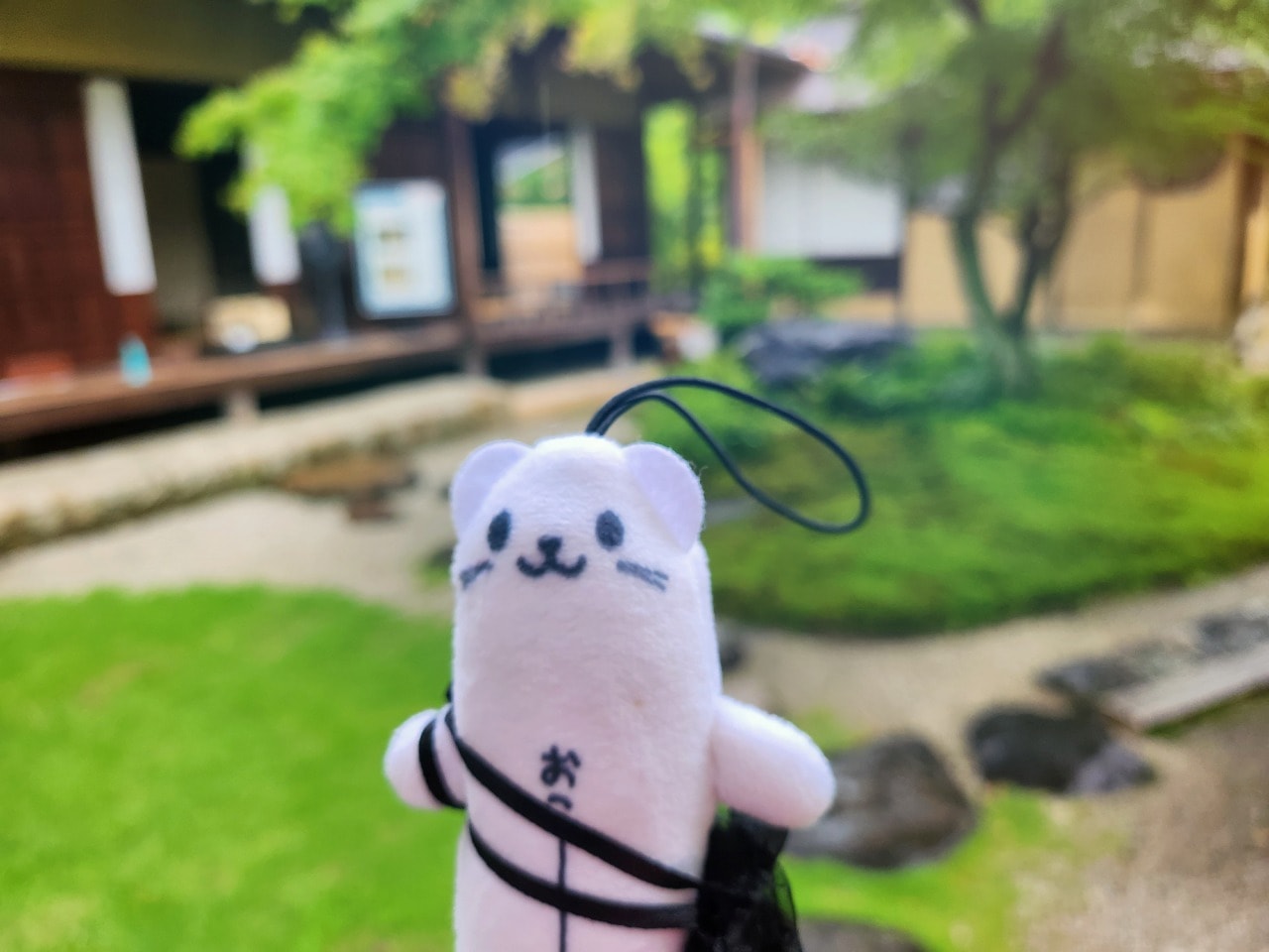 名古屋犬山 有樂苑庭園。拜訪國寶茶室如庵，漫步優美庭院、欣賞水琴窟清澈鈴聲