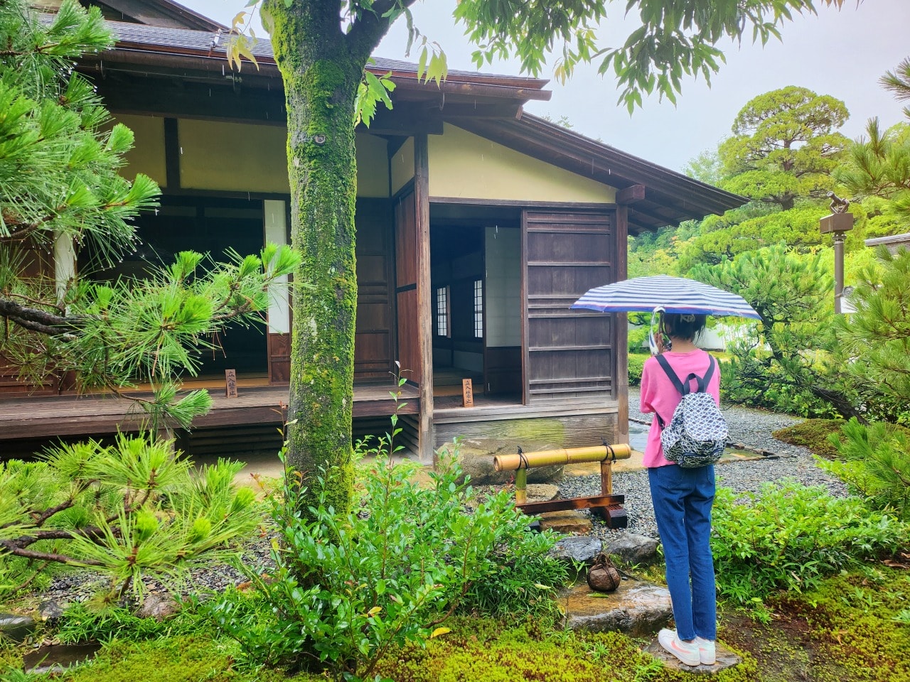 名古屋犬山 有樂苑庭園。拜訪國寶茶室如庵，漫步優美庭院、欣賞水琴窟清澈鈴聲