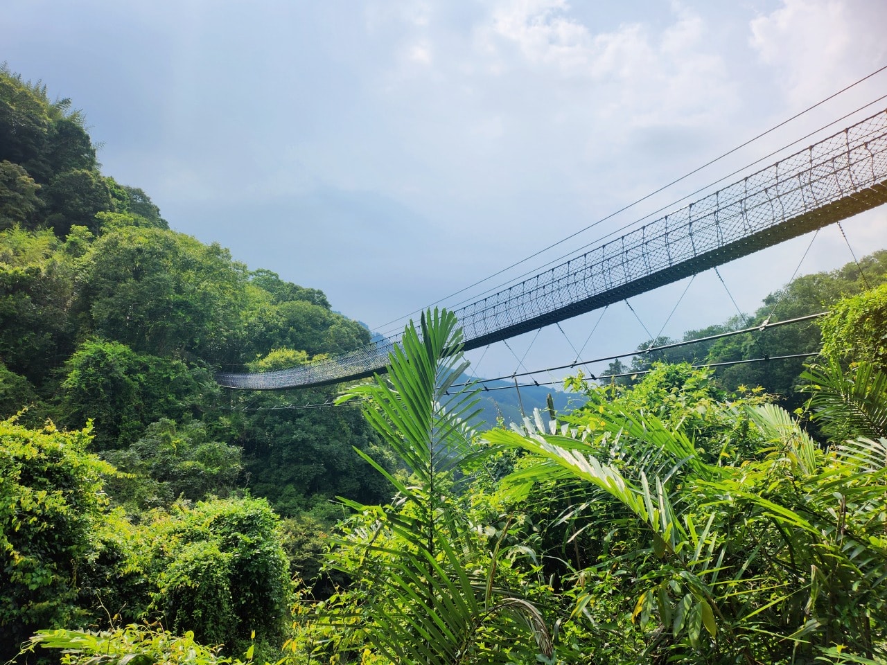 桃園復興 小烏來風景特定區。天空步道俯瞰壯觀小烏來瀑布,散步天空繩橋、和平吊橋、龍鳳瀑布觀景台,宇內溪戲水區玩水 - 第24張圖 桃園復興 小烏來風景特定區。天空步道俯瞰壯觀小烏來瀑布,散步天空繩橋、和平吊橋、龍鳳瀑布觀景台,宇內溪戲水區玩水