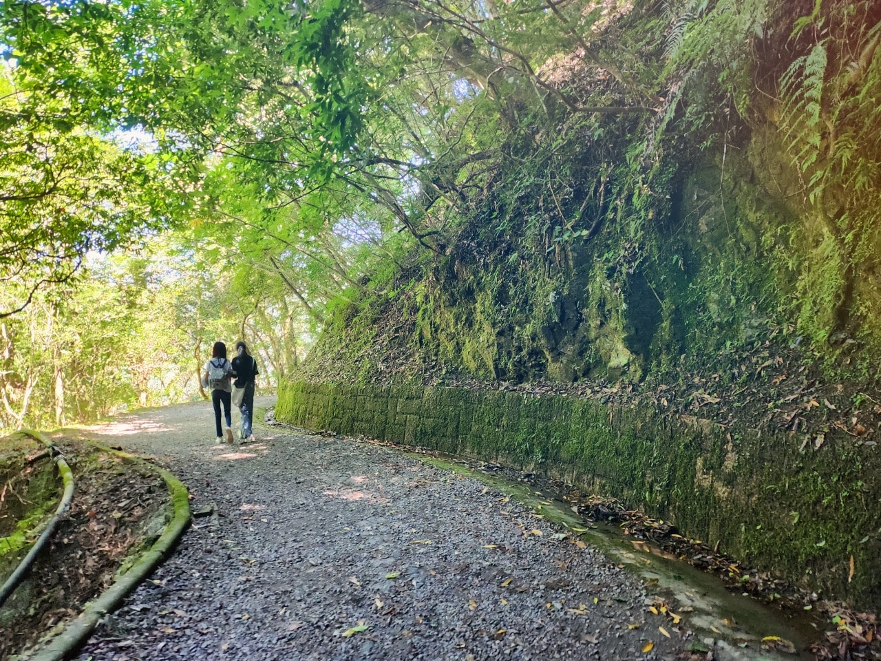 桃園復興 拉拉山巨木區/森林遊樂區。避暑勝地 拉拉山神木群步道路線圖、健行時間、可親水區域、遊客中心餐飲和兒童遊戲區
