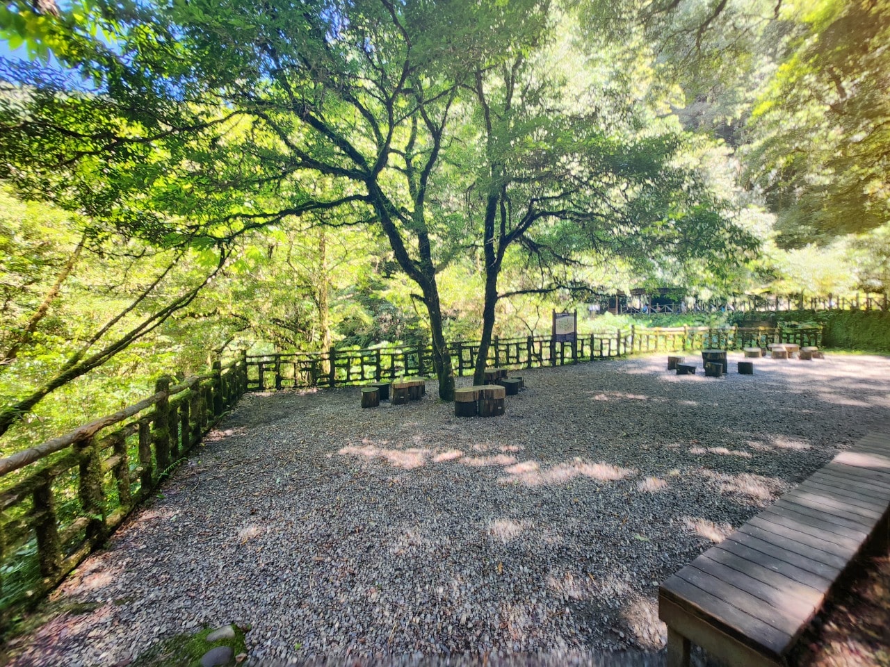 桃園復興 拉拉山巨木區/森林遊樂區。避暑勝地 拉拉山神木群步道路線圖、健行時間、可親水區域、遊客中心餐飲和兒童遊戲區
