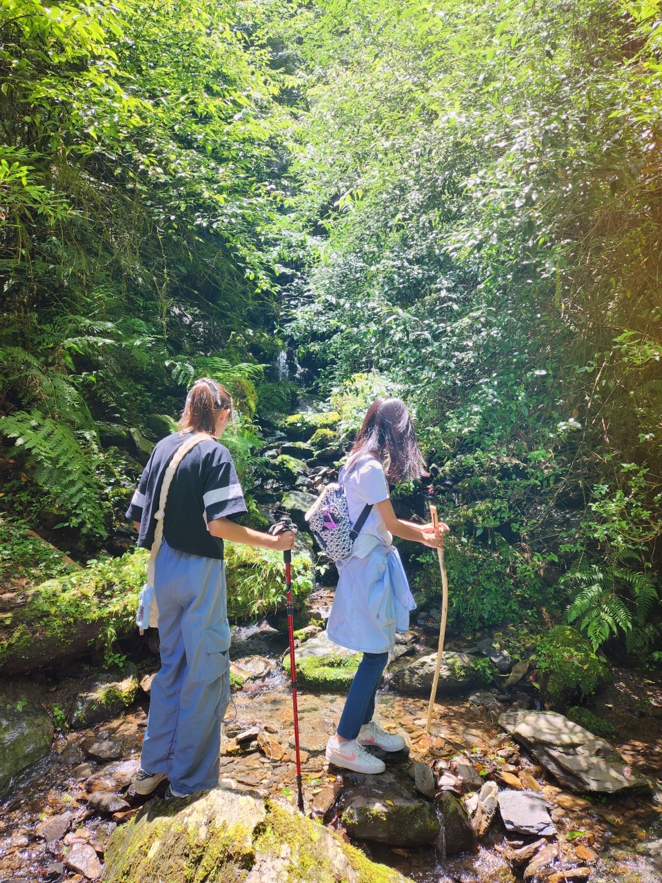 桃園復興 拉拉山巨木區/森林遊樂區。避暑勝地 拉拉山神木群步道路線圖、健行時間、可親水區域、遊客中心餐飲和兒童遊戲區