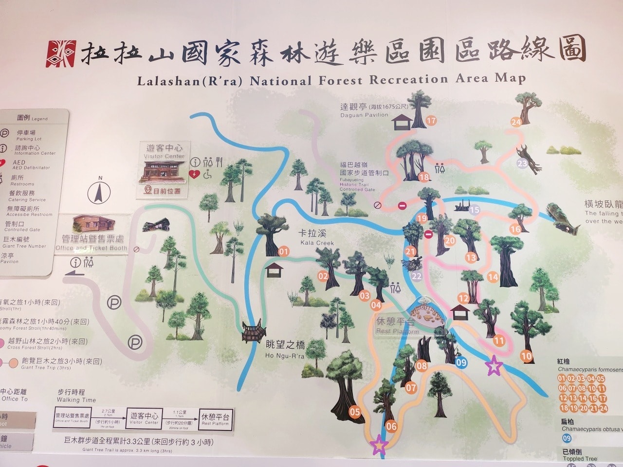 桃園復興 拉拉山巨木區/森林遊樂區。避暑勝地 拉拉山神木群步道路線圖、健行時間、可親水區域、遊客中心餐飲和兒童遊戲區